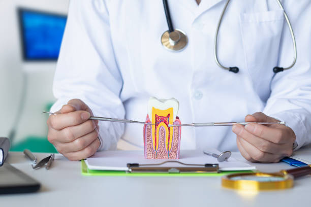 Best Emergency Dental Care for Broken or Chipped Teeth in Hoffman Estates, IL